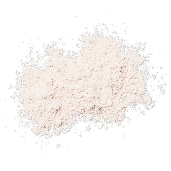 Сонцезахисна матуюча пудра з пензлем Colorescience Sunforgettable Total Protection Sheer Matte SPF 30 Sunscreen Brush 4.3g